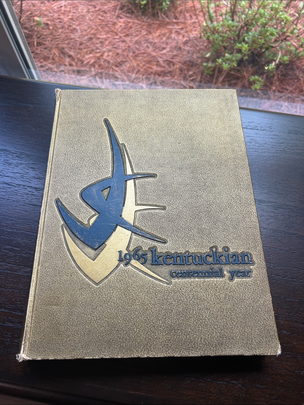 1965 Kentuckian Centennial Year Gold & Blue Coffee Table Book. UK Wildcats